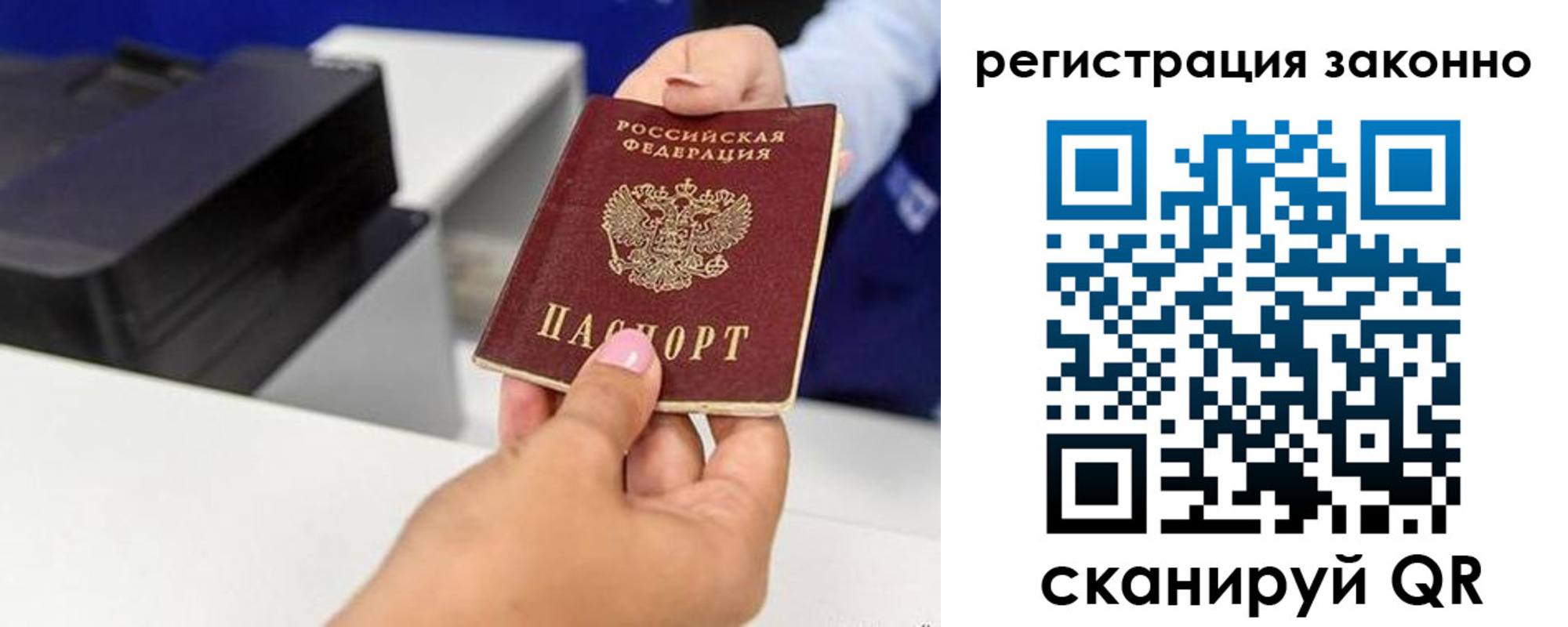 прописка для школы в Курске